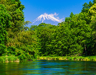 名水百選・世界文化遺産